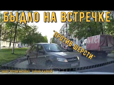 Видео: Быдло на встречке #155! Подборка на видеорегистратор!