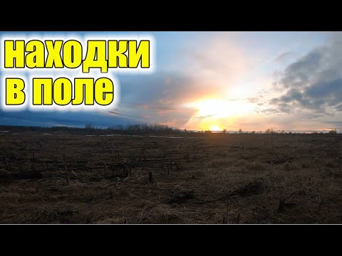 Видео: Находки в поле!Я не ожидал такое найти!Коп старины с металлоискателем!