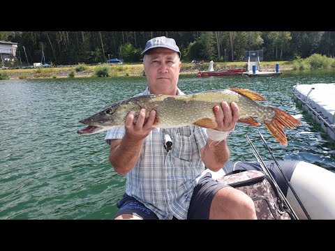 Видео: Щука ломает спиннинг! Рыбалка в Германии,окунь, щука! Der Hecht bricht die Spinnrute! Barsch, Hecht!
