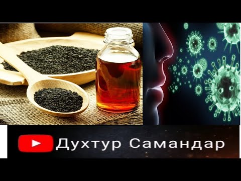 Видео: Масло Черный Тмин! Ва вазифахои он. (Сиёхдонаи сиёх)