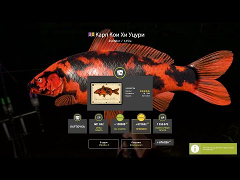 Видео: Вечерний СТРИМ Русская Рыбалка 4 Проверка ФАРМА Серы На Медном И не ТОЛЬКО ! КОПИМ серебро На ВЕНГИ!