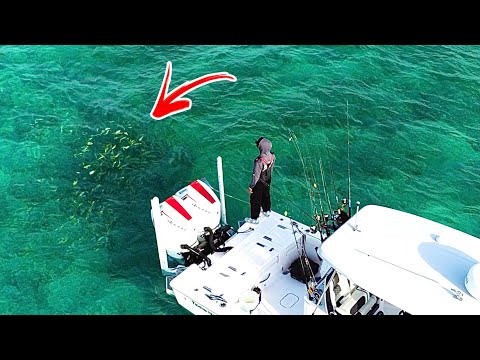 Видео: КАК ПОПАТЬ ЖЕЛТОХВОСТОГО ЛЮКСЕМАТА (Флорида-Кис)