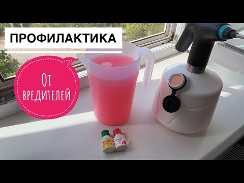 Видео: Насекомым тут не место! В лесу хорошо😍Разговоры о разном 🙂