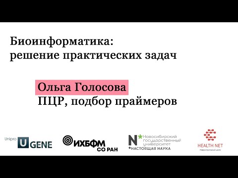 Видео: B1P4 - ПЦР, праймеры