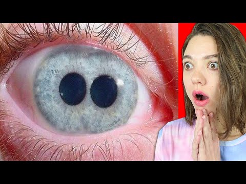 Видео: ВИРУСНЫЕ ВИДЕО ИЗ ТИК ТОКА!