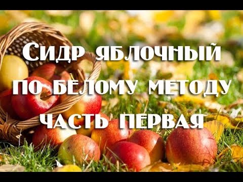 Видео: Газированный домашний сидр из яблок: 1 часть рецепта (постановка сусла на брожение)