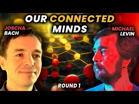 Видео: Майкл Левин и Иоша Бах: Коллективный разум