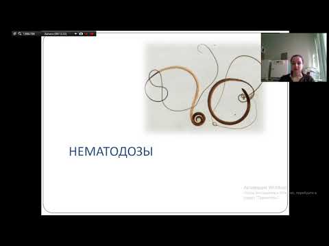Видео: Паразитология. Гельминтозы. Лабораторная диагностика