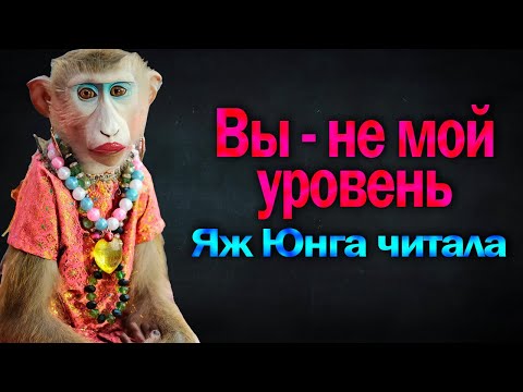 Видео: Приключения Высокоинтеллектуальной макаки.. Выпуск 41