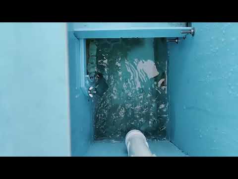 Видео: Барабанный фильтр и УФ лампа в деле! #пруд #декоративныйпруд  #карпыкои #кои