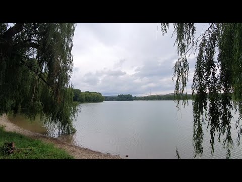 Видео: Городское озеро. Сквер приозёрный. г. Ессентуки
