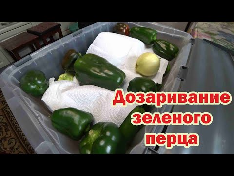 Видео: Перец не успел вызреть. Что делать?