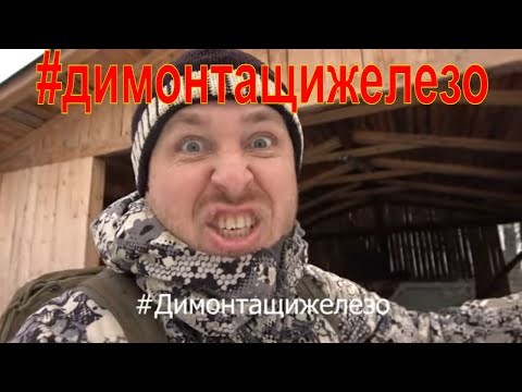 Видео: Охота на енотовидную собаку #1 План капкан \ #Димонтащижелезо