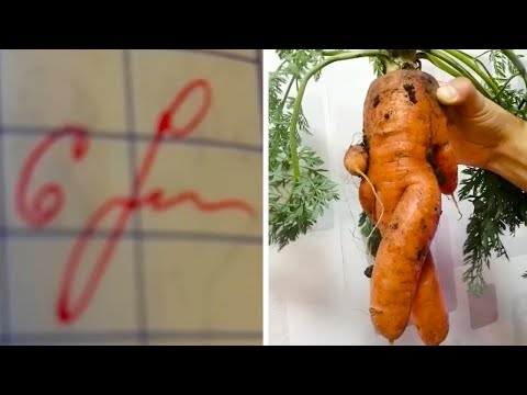 Видео: Фото от подписчиков 26 часть