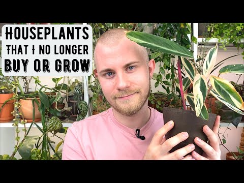 Видео: Комнатные растения, которые я больше не покупаю и не выращиваю