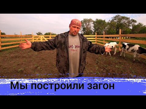 Видео: Построили большой загон для быков. Поймали рой с пчёлами. Наша жизнь в деревне.