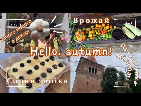 Видео: Hello, autumn! Мій затишний день 🍁Збір помідорів 🍅Сімейні моменти 👩🏻👦🏼Обрізка троянд 🥀