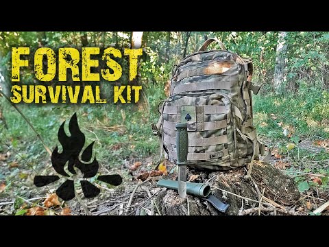 Видео: Мой набор выживания в лесу@Corcoran ALSurvival kit