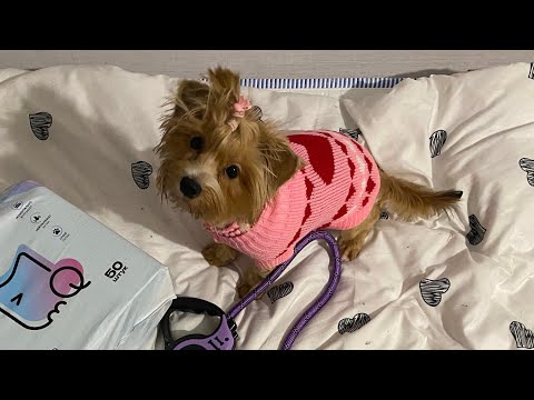 Видео: Распаковка для Стешки из Wildberries 