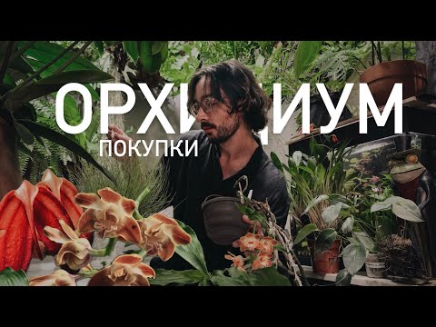 Видео: ОРХИДИУМ МАЙ 2025. ПОКУПКИ