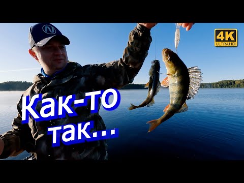 Видео: Новые приманки на старом озере. Рыбалка на спиннинг с другом