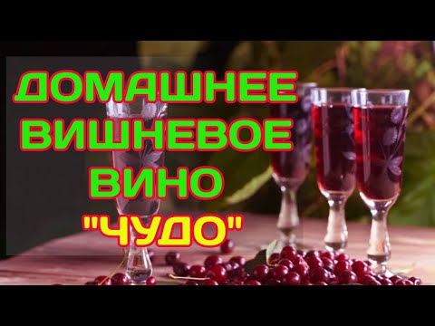 Видео: Домашнее Вишневое Вино "Чудо" | Подробный рецепт и технология