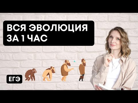 Видео: Вся Эволюция за 1 час | Биология ЕГЭ