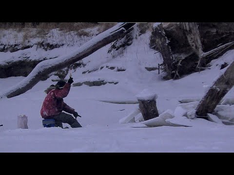 Видео: РЫБАЛКА С НОЧЕВКОЙ НА ЗАКОРЯЖЕННОЙ ПРОТОКЕ!! Море окуня на балансир! Рыбалка на Алтае.