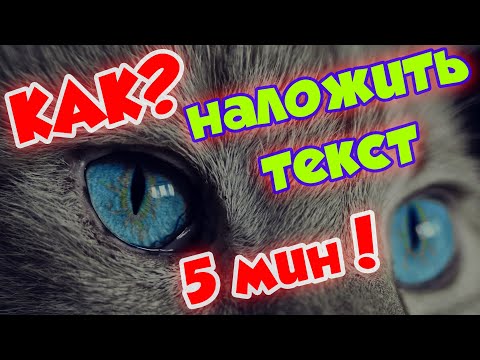 Видео: Лайфхак / Как за 5 минут добавить текст на картинку