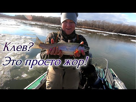 Видео: Обалденная рыбалка на Камчатке!