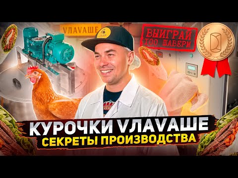 Видео: Почему шаверма VЛAVAШЕ такая вкусная? Добро пожаловать НА ПРОИЗВОДСТВО