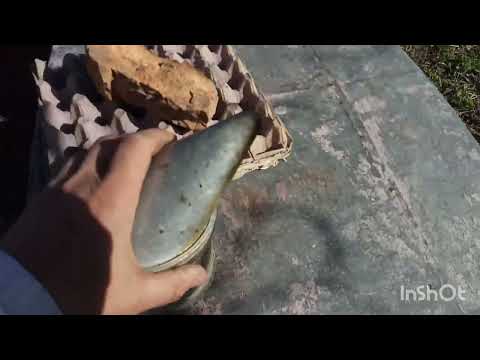 Видео: Перше Розширення гнізда у себе На пасіці.07.04.2022. Все Дуже геніально.