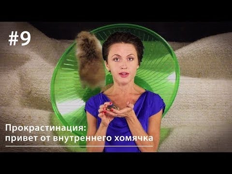 Видео: Прокрастинация: привет от внутреннего хомячка // Все как у зверей #9