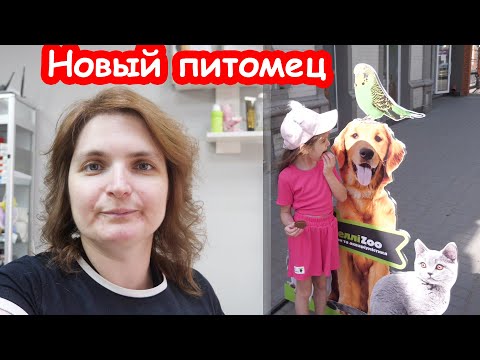 Видео: VLOG Подстриглись и в дороге застала тревога