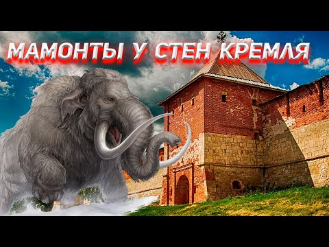 Видео: Боевой мамонт найден у стен Зарайского Кремля
