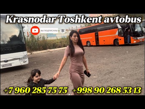 Видео: +79650496969/Krasnodar Toshkent avtobus ,Ростов Ташкент автобус,москва-ташкент автобус