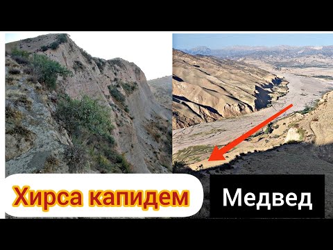 Видео: Хирса капидем дар муминобод