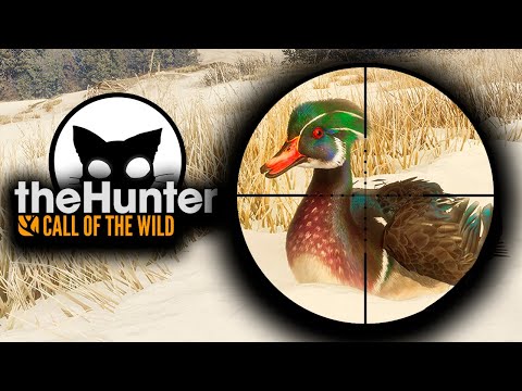 Видео: theHunter Call of the Wild Карта Альберты #2 Дальше открываем карту.