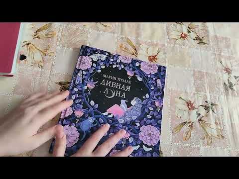 Видео: кот в мешке/февраль/ @АннаЦветнойМир-ц2х