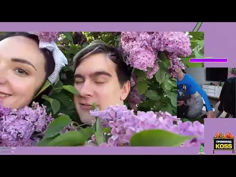 Видео: VISSHENKA смотрит Топ Моменты с Twitch | дом на колесах РЕАКЦИЯ