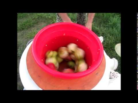 Видео: Самоделкин из Березовки  Соковыжималка