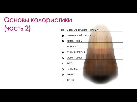 Видео: Основы колористики (часть 2)