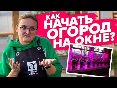 Видео: ПОСЕВ ОГУРЦОВ, ТОМАТОВ И РЕДИСА ДЛЯ КВАРТИРЫ! Огород на окне