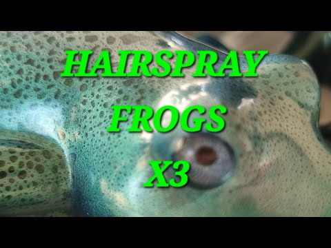 Видео: #61 ПОДОЙДУТ ЛИ ЛЯГУШКИ ДЛЯ ТЕХНИКИ С ЛАКОМ ДЛЯ ВОЛОС?