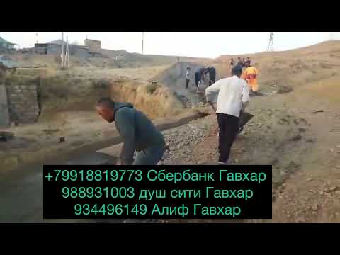 Видео: Бинен падари ма чи мега хуб гушкнен😱😱😱😱