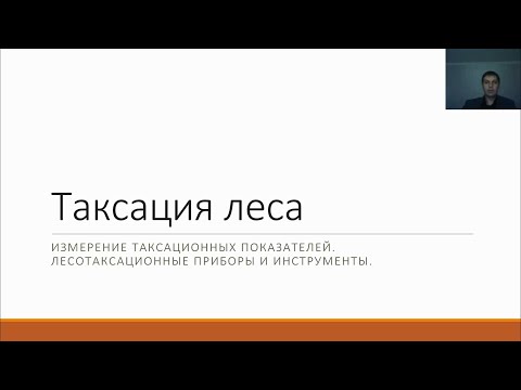 Видео: Таксация леса 1 3 курс Лесное дело