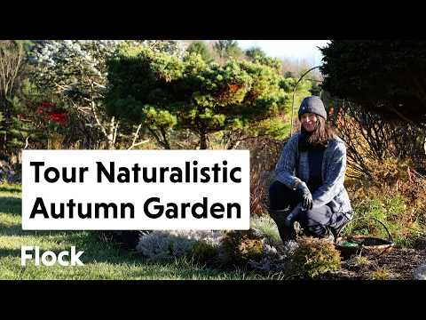 Видео: Наш осенний тур по натуралистическому саду и ландшафту — Эпизод 340