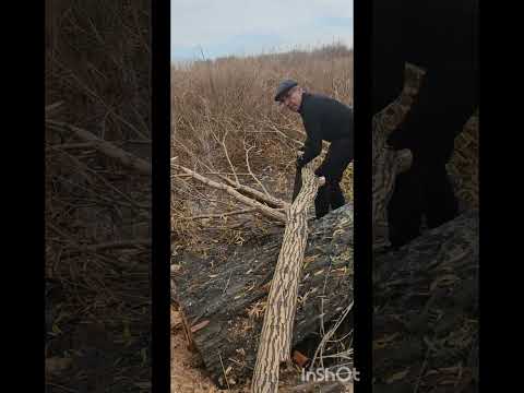 Видео: ОСТРОВ СОКРОВИЩ
