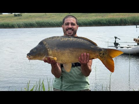 Видео: Попал на РАЗДАЧУ ТРОФЕЙНЫХ КАРПОВ! Место выбрано верно -  экшен рыбалка удалась! Водоем ПОЛКОВНИЦКИЙ