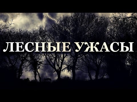 Видео: Лесные ужасы: Страшная тайна ленинградских болот. Неожиданная помощь.